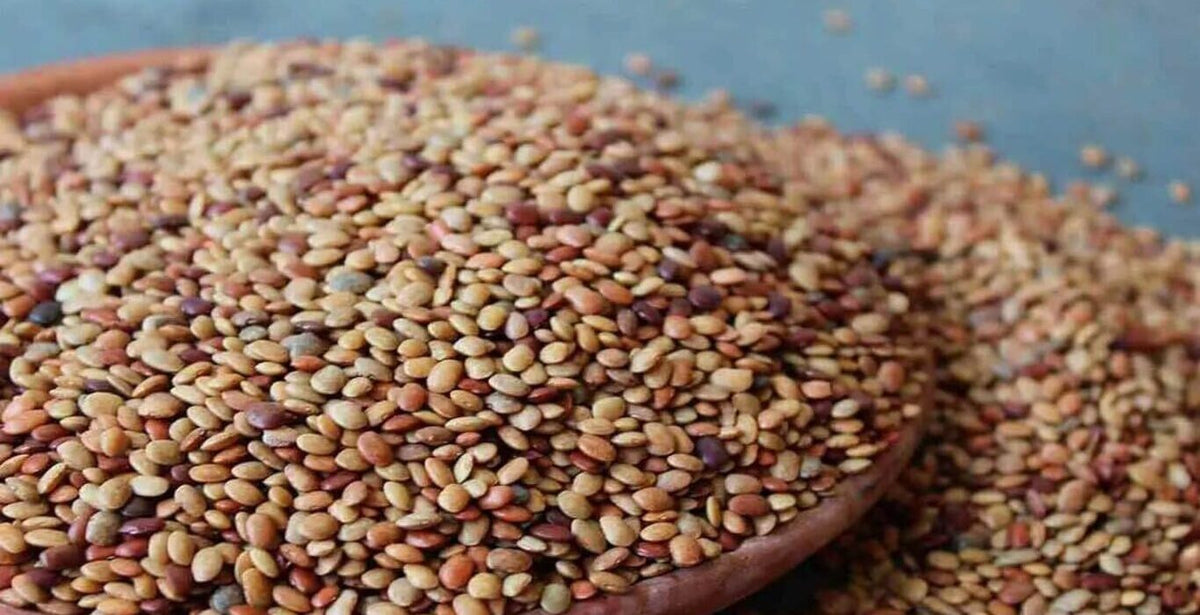Horse Gram