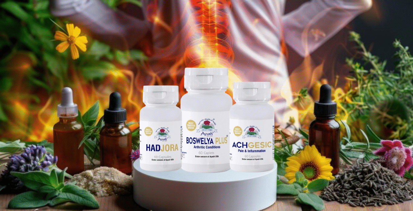 Understanding How Herbal Supplements Support Joint Health