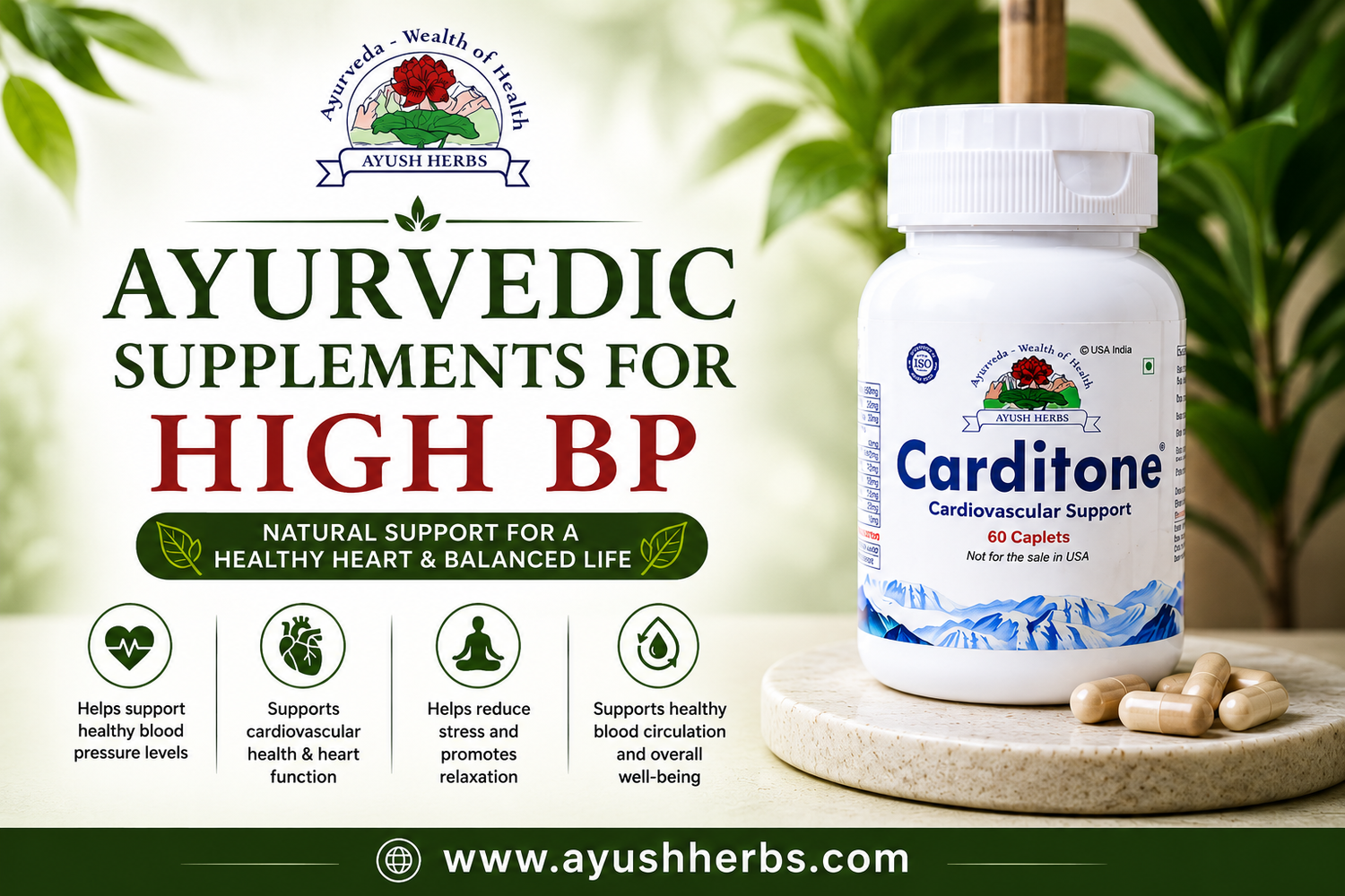 10 Best Ayurvedic Supplements for High Blood Pressure (Backed by Science)
