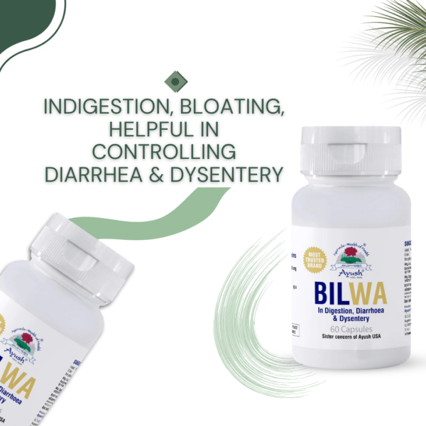 Bilwa Capsules – Herbal Digestive Support Standardized Extract of Bilwa (Aegle marmelos)