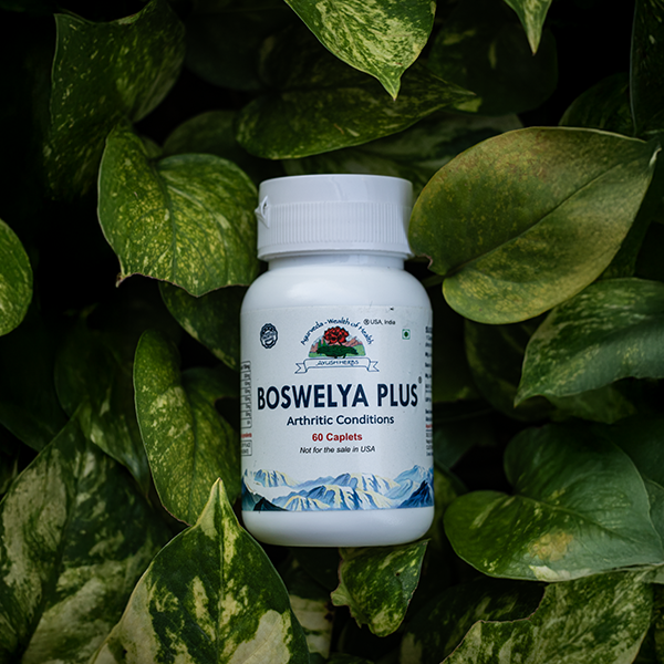 Boswelya Plus