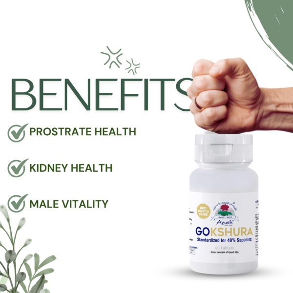 Gokshura – Herbal Support for General Wellness