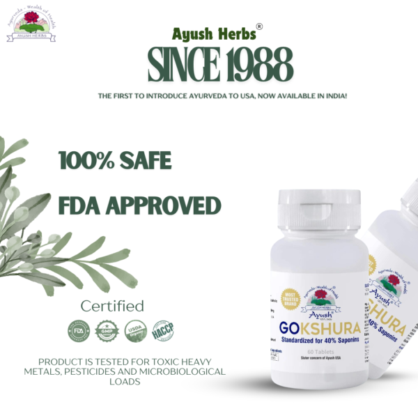 Gokshura – Herbal Support for General Wellness