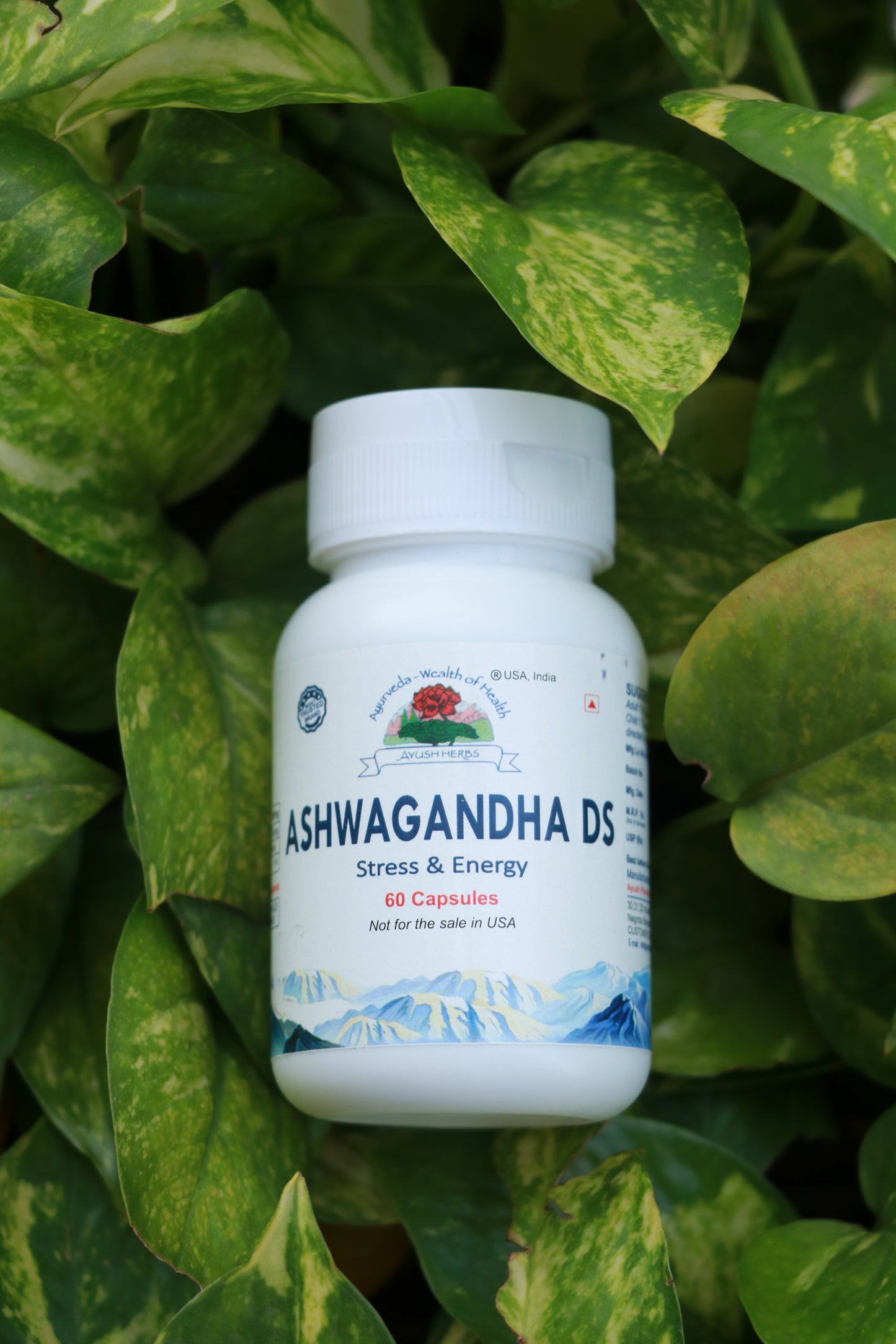 Ashwagandha Ds Capsule