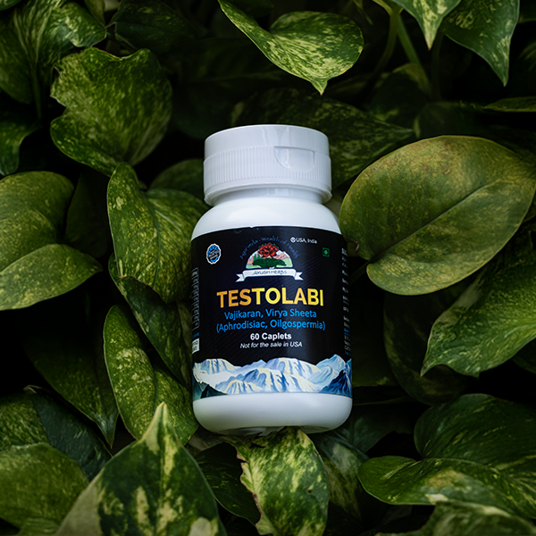 Testolabi – Supports General Wellness of the Male Reproductive System