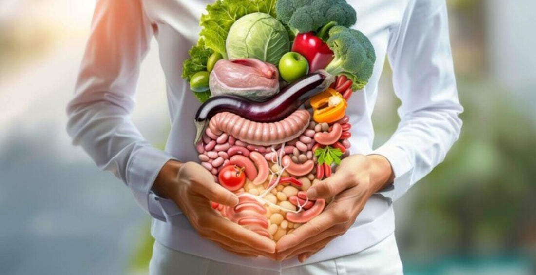 digestion system