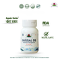 Bottle of Guggal DS capsules with Ayush Herbs branding and FDA approval logos on a white background.