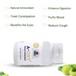 A-oxy (Amla) Capsules – Natural Anti Oxidant