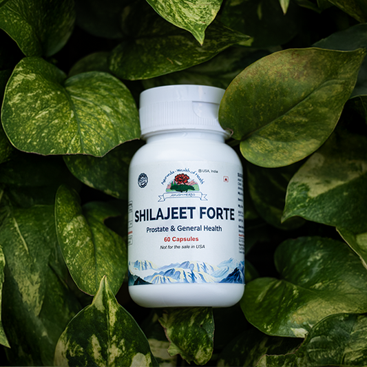 Shilajeet Forte – General Health Tonic