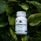 Tylophora Plus – Respiratory Support