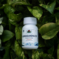 Ashwagandha Ds Capsule