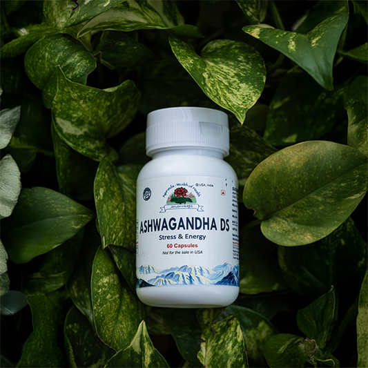 Ashwagandha Ds Capsule