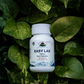Easy Lax Trifla – Digestive Support