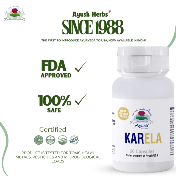 Karela Capsules Diabetes Support - Image 4