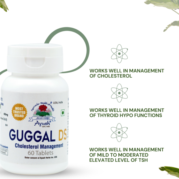 Guggal DS - Image 3